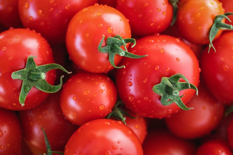 La Tomatina in Spain